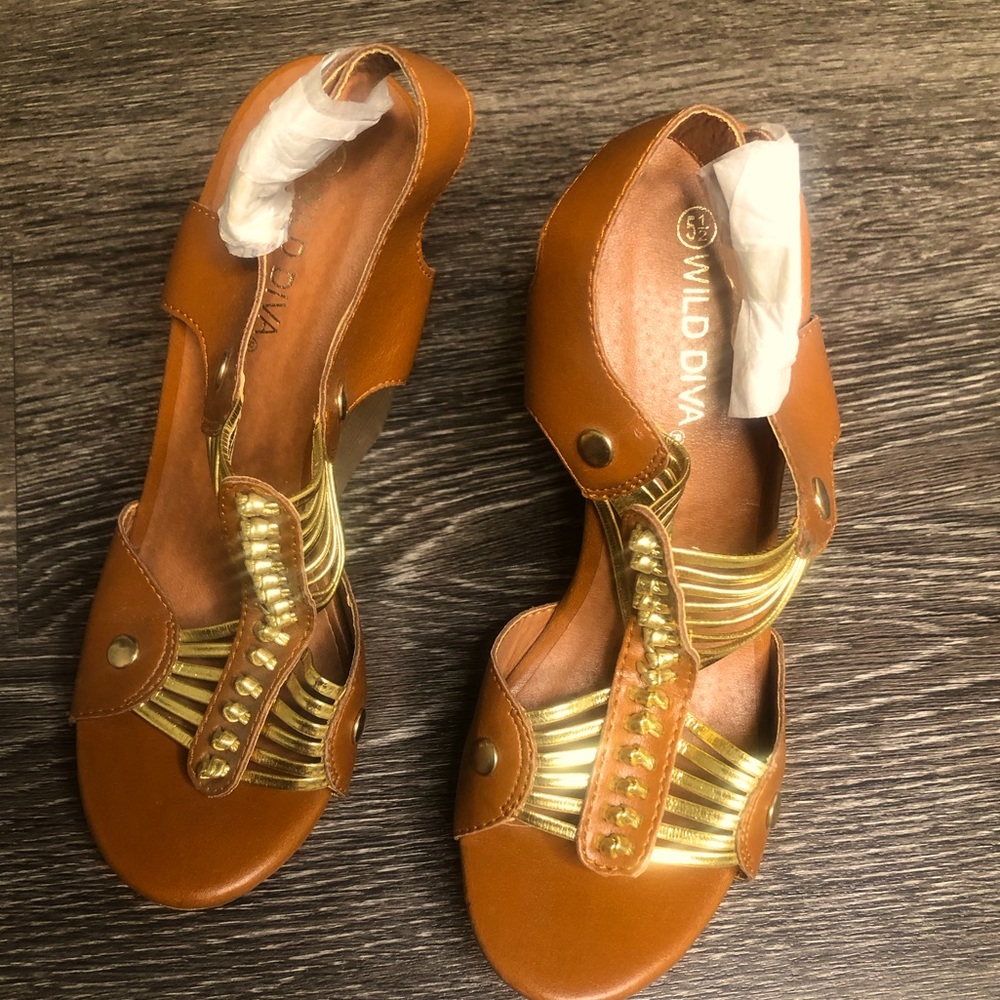 Wild Diva brown and gold wedges.